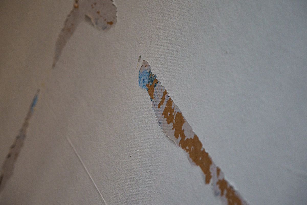 Sewage Cleanup service in Jackson, MS